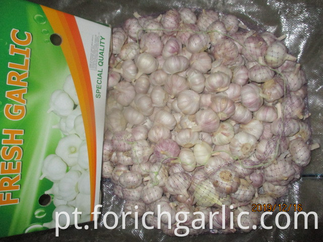 How To Preserve Garlic Bulbs